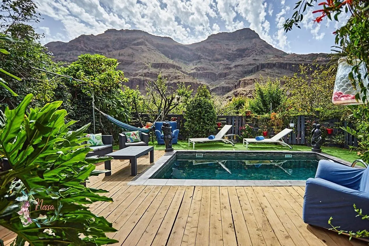 Finca Oasis Fataga Maspalomas  Villa