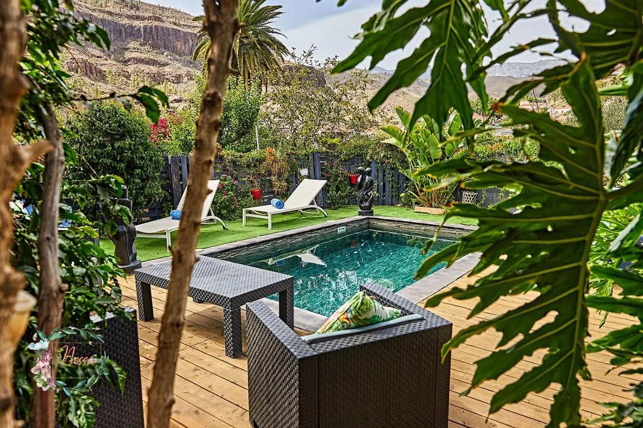 Finca Oasis Fataga Maspalomas  Villa