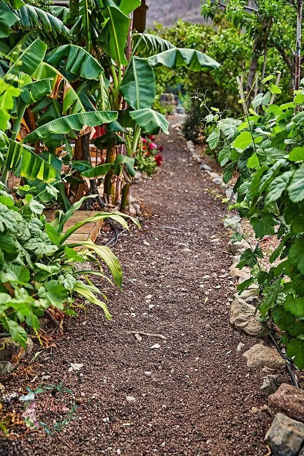 Finca Oasis Fataga Maspalomas