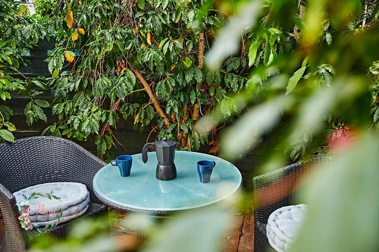 Finca Oasis Fataga Maspalomas